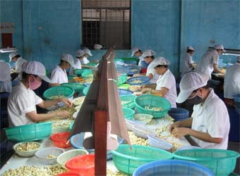 บรรดาสถานประกอบการเริ่มทำงานต้นปีมะเส็ง๒๐๑๓